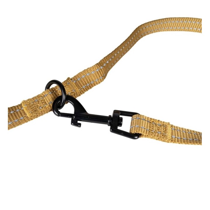 Duvoplus Trainingsleine EXPLOR Ultimate Fit Classic - honey gold - 220cm - 25mm