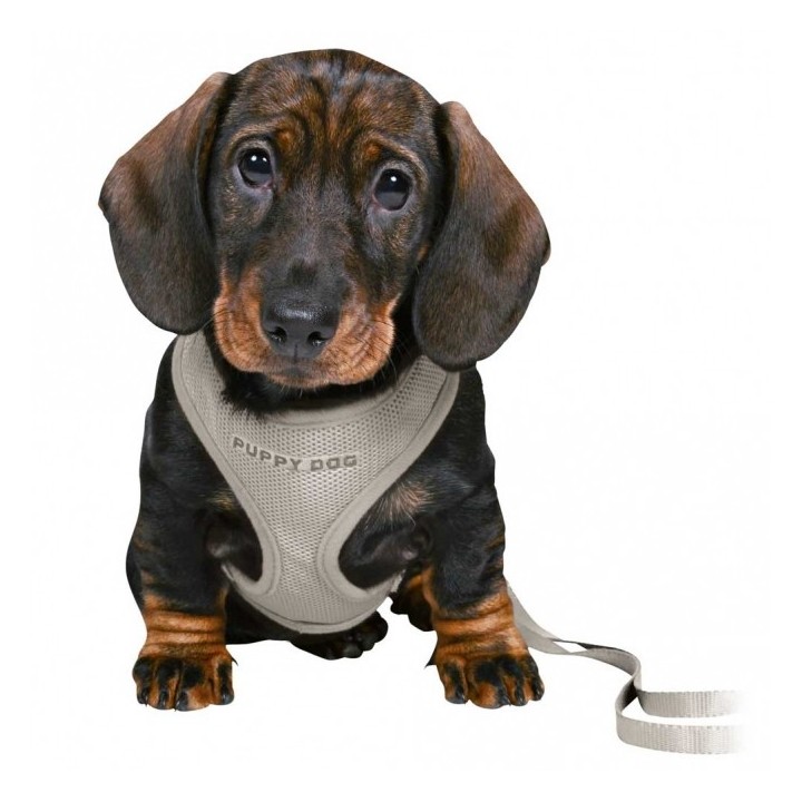Trixie Junior Welpen-Softgeschirr mit Leine - hellgrau