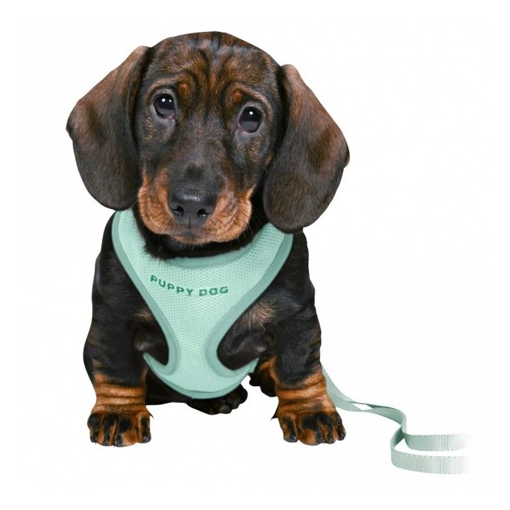 Trixie Junior Welpen-Softgeschirr mit Leine - flieder
