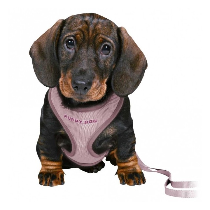 Trixie Junior Welpen-Softgeschirr mit Leine - mint