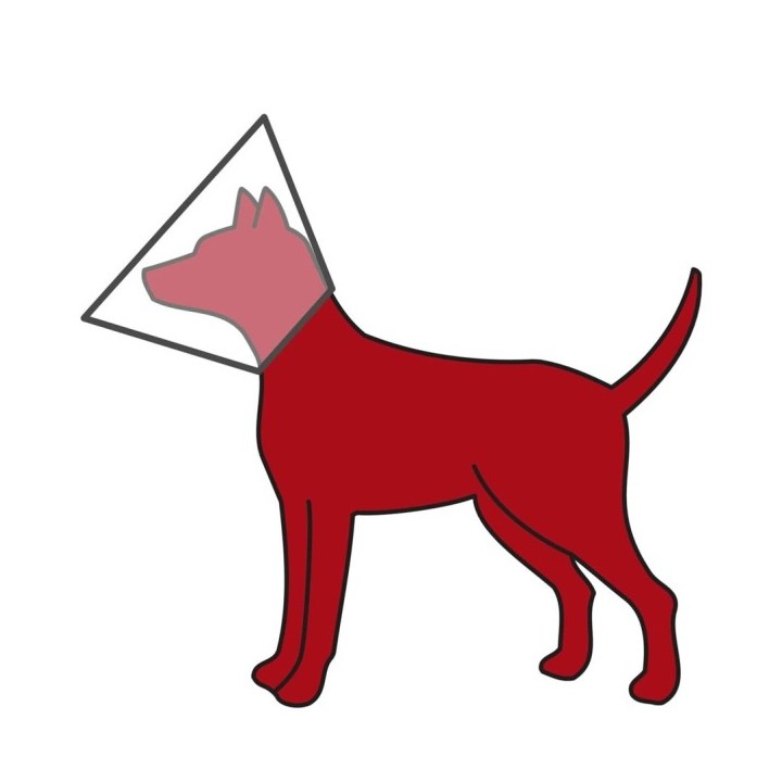 Trixie Schutzkragen aus Kunststoff - L ø 44-50 cm/25 cm