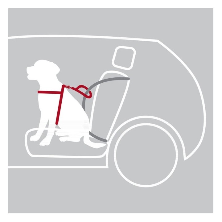 Trixie Auto-Sicherheitsgeschirr Dog Protect - S-M 40-55 cm