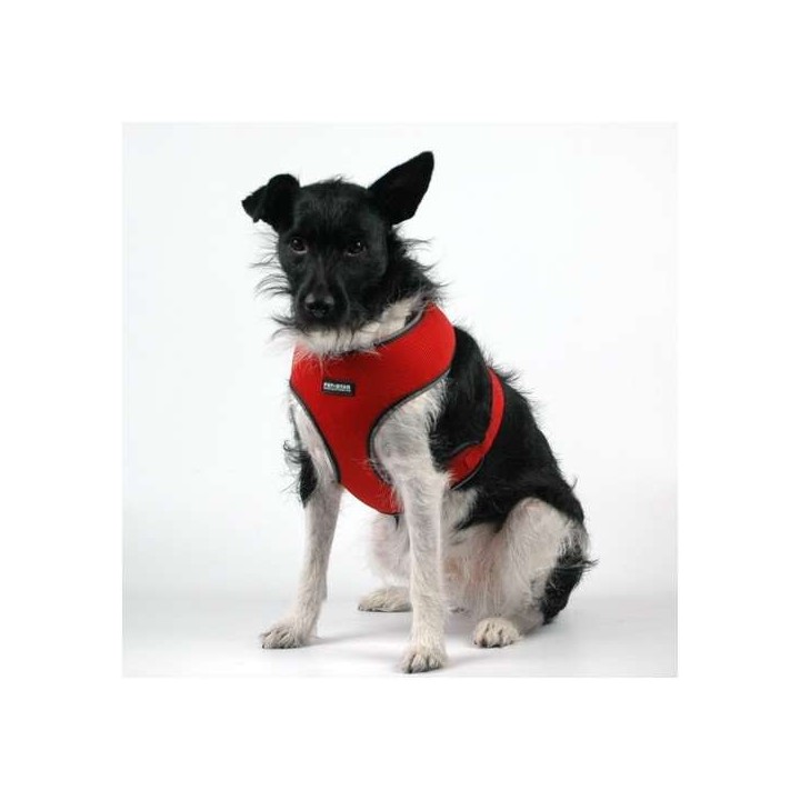 Pet-Star Softgeschirr / Netzgeschirr - Rot - XL