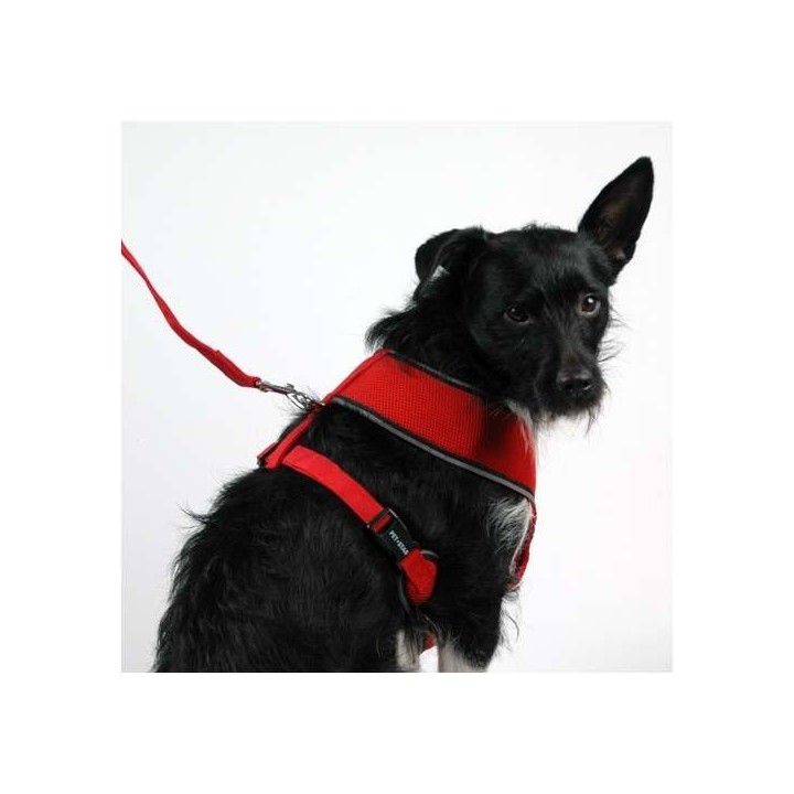 Pet-Star Softgeschirr / Netzgeschirr - Rot - XL