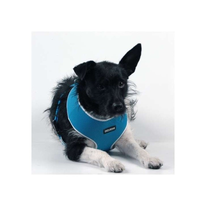 Pet-Star Softgeschirr / Netzgeschirr - Blau - L