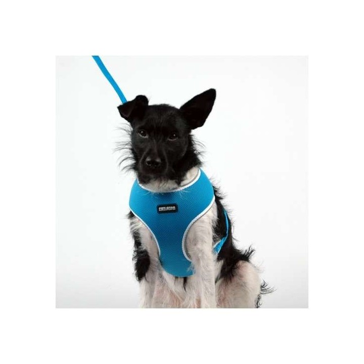 Pet-Star Softgeschirr / Netzgeschirr - Blau - XL