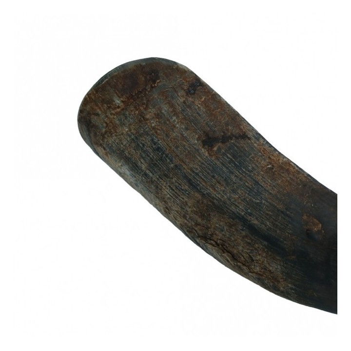Viking half Horn - L