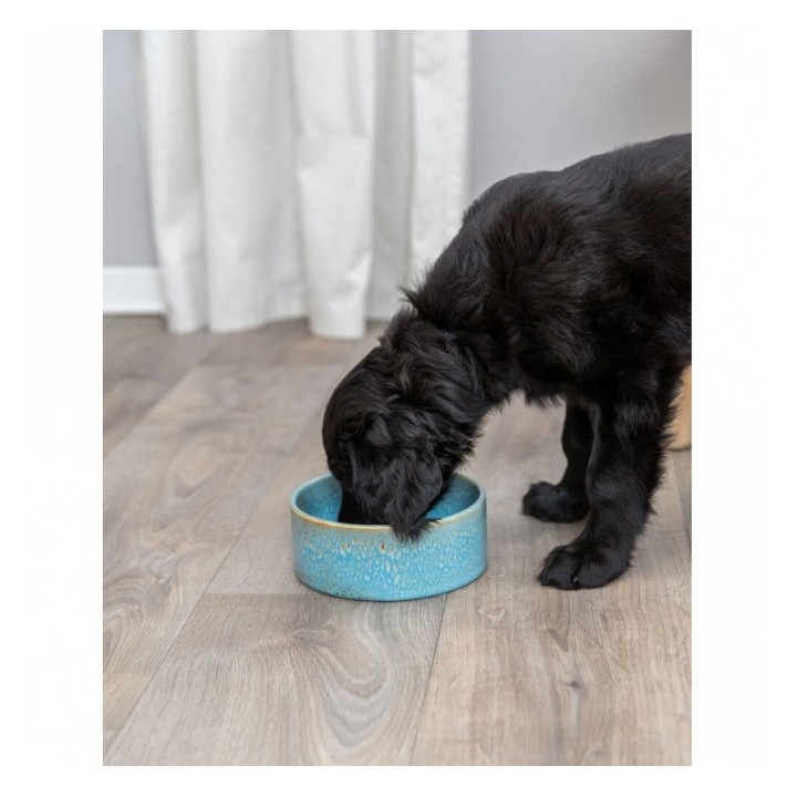 Trixie Keramiknapf mit Musterung - blau - 04 l/ø 13 cm