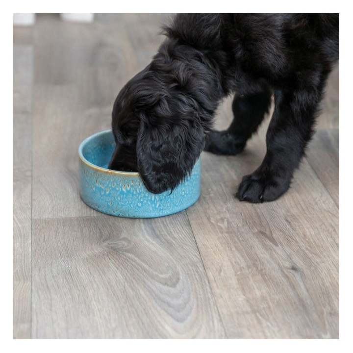 Trixie Keramiknapf mit Musterung - blau - 04 l/ø 13 cm