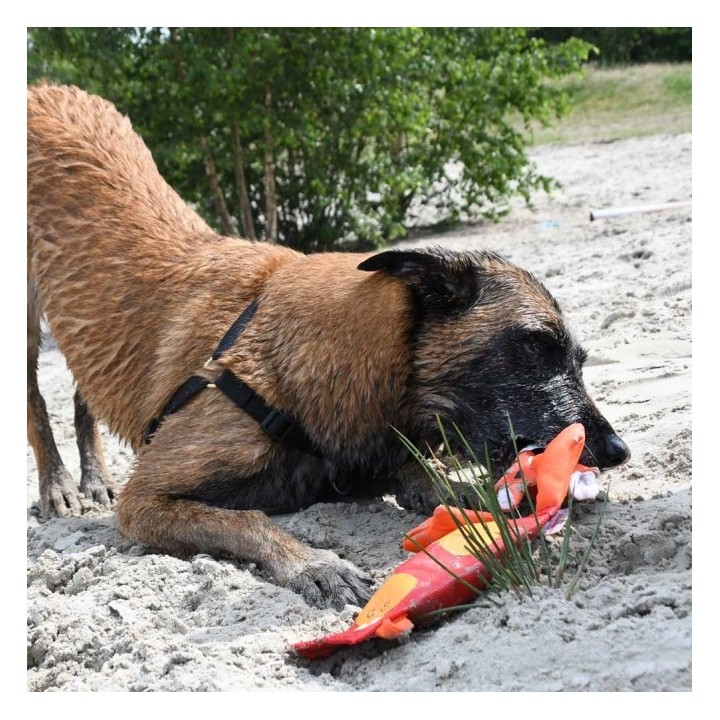 Hozies Sammy Stripes aus Feuerwehrschlauch - Medium