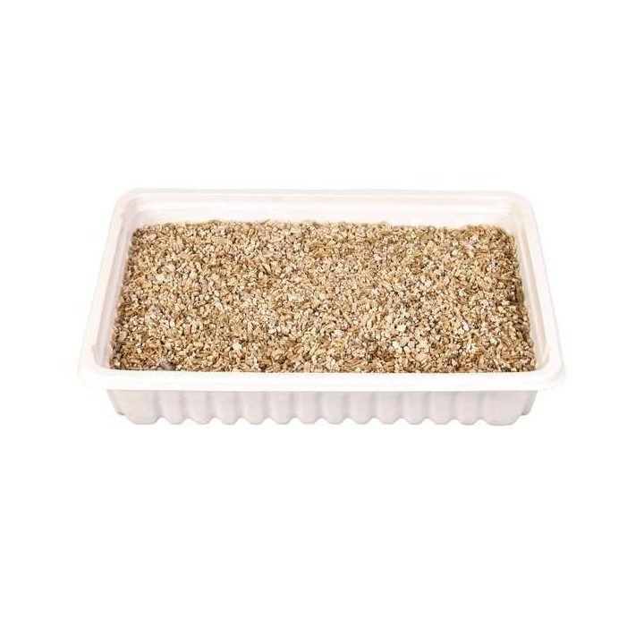 Trixie Katzengras-Schale ca. 100 g
