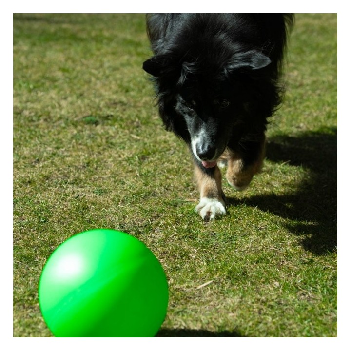 PROCYON Treibball Größe S - extra stabil - grün