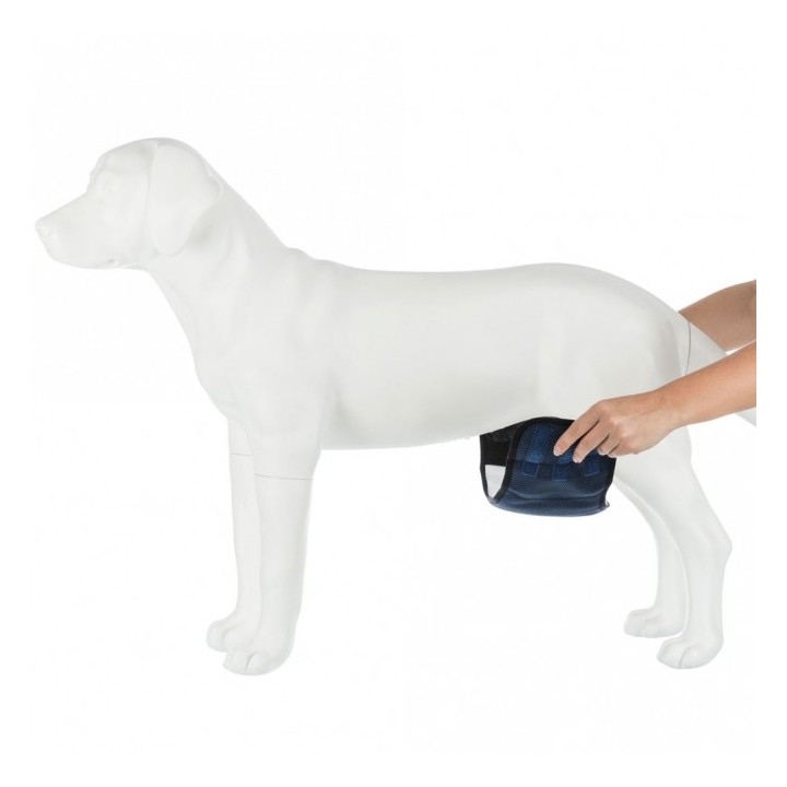 Trixie Windeln für Rüden waschbar - M / 45-55 cm