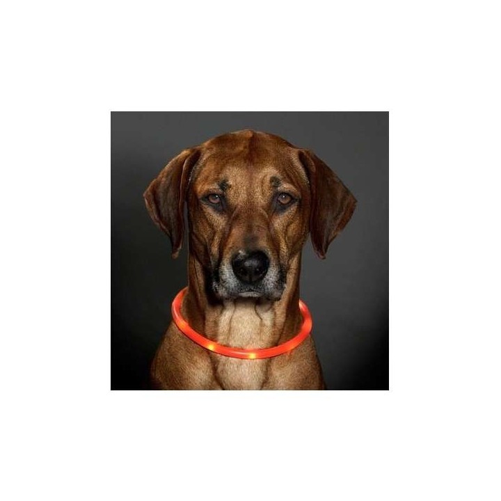 Karlie Visio Light LED-Leuchtschlauch mit USB - Orange