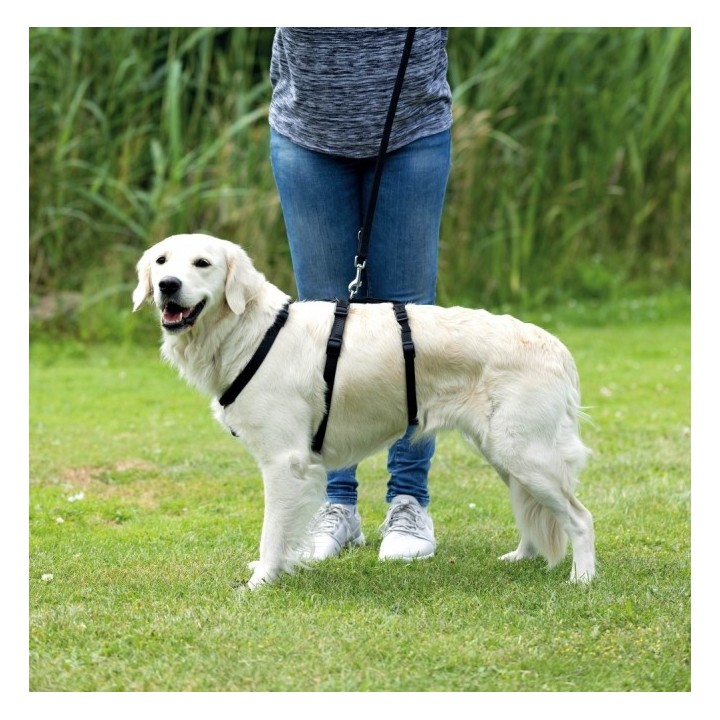 Trixie Panikgeschirr Stay - S-M 40-65 cm/15 mm