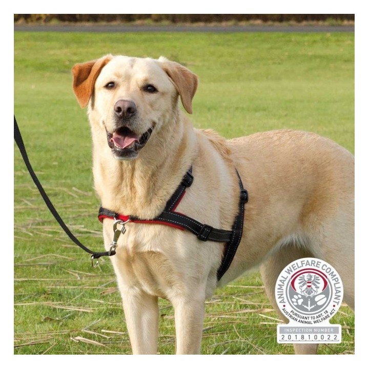 Trixie Trainingsgeschirr Lead'n'Walk Soft - M-L