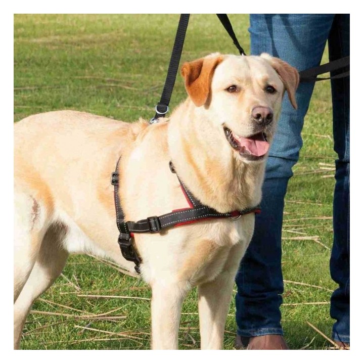 Trixie Trainingsgeschirr Lead'n'Walk Soft - M-L