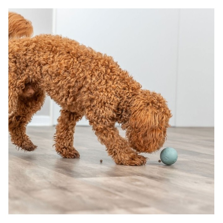 Trixie Labyrinth-Snacky Naturgummi-Snackball - 6 cm
