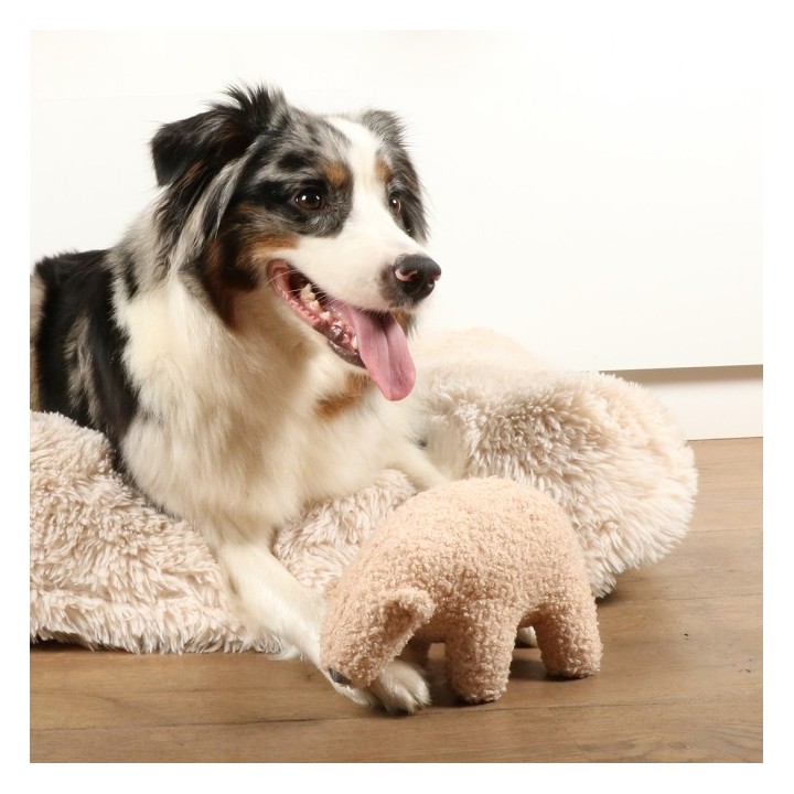 D&D Hundespielzeug Banjo Teddystoff - beige - L - 30x18x20cm