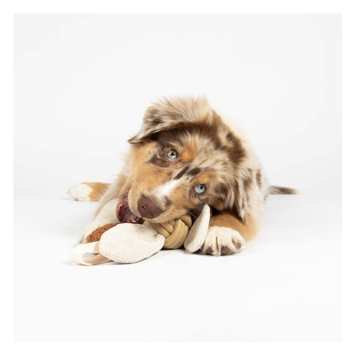 D&D Hundespielzeug Jule - sand - 37x65x65cm