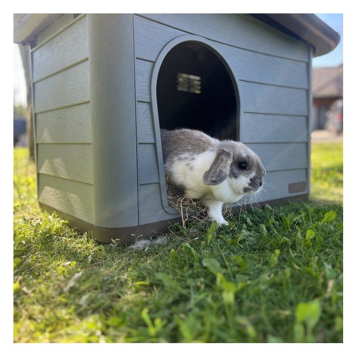Duvoplus Tierhaus Pepita Eco - grün - 60 x 41 x 51cm