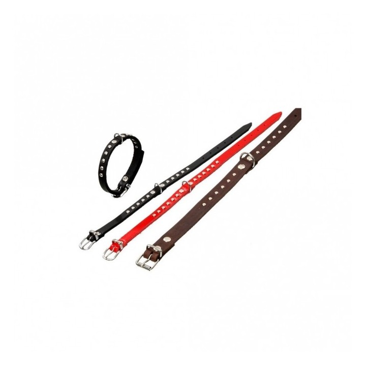 Karlie RONDO Halsband mit Ziernieten - Rot - 52cm / 20mm