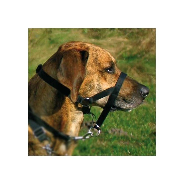 Trixie Top Trainer Ausbildungsgeschirr - max. 22 cm