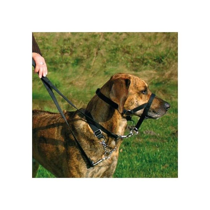 Trixie Top Trainer Ausbildungsgeschirr - max. 31 cm