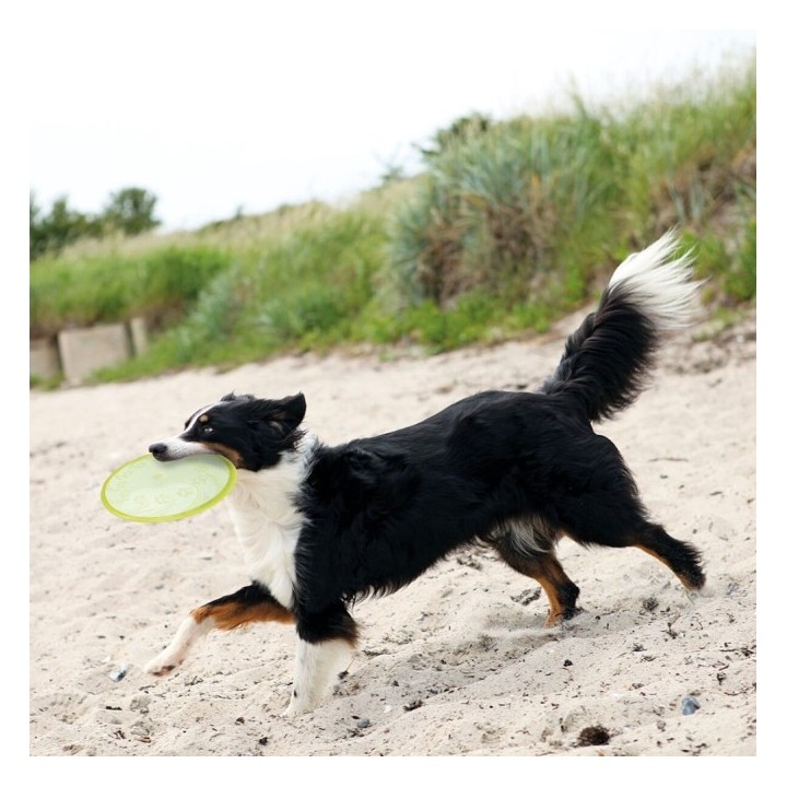 Trixie TPR Dog Disc schwimmfähig - 18 cm