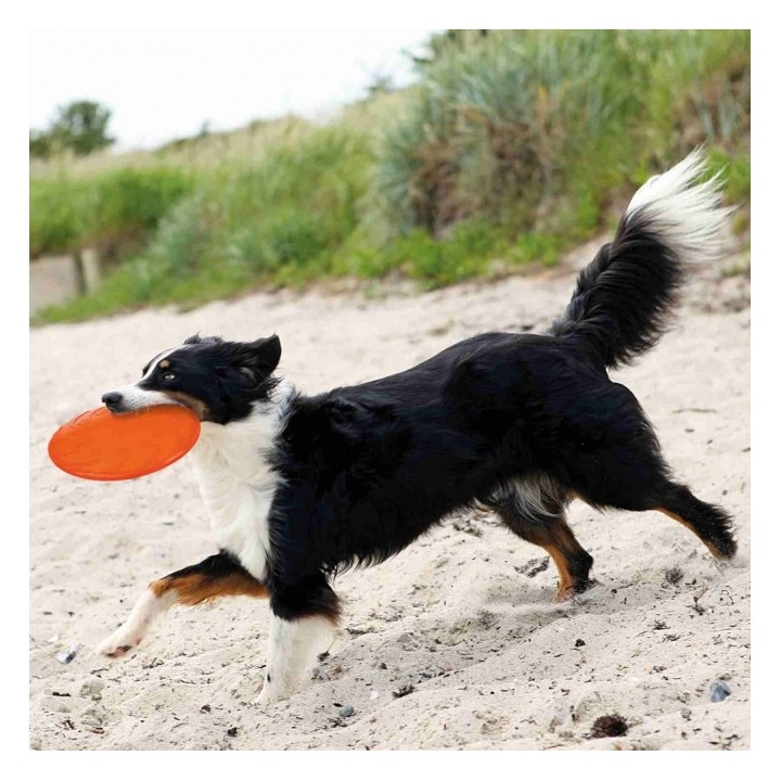 Trixie TPR Dog Disc schwimmfähig - 18 cm