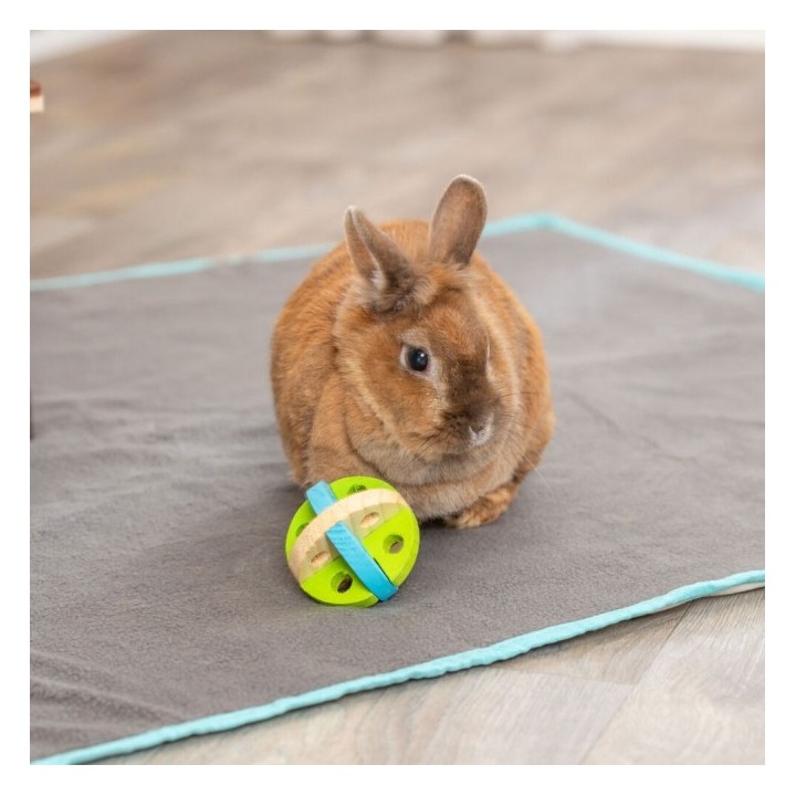 Trixie Spiel- und Snackball aus Holz - 75 cm