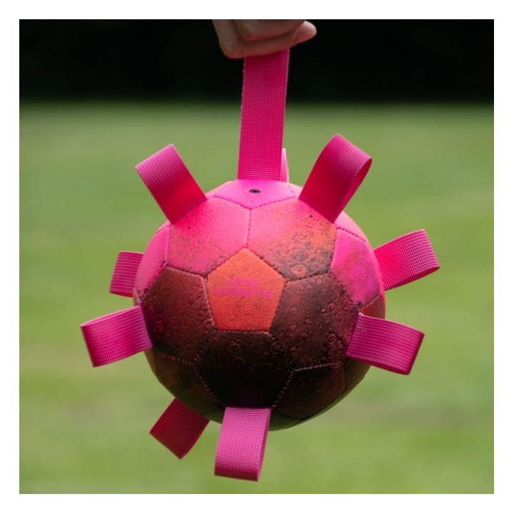 Dog Comets Ball Hypernova - Pink