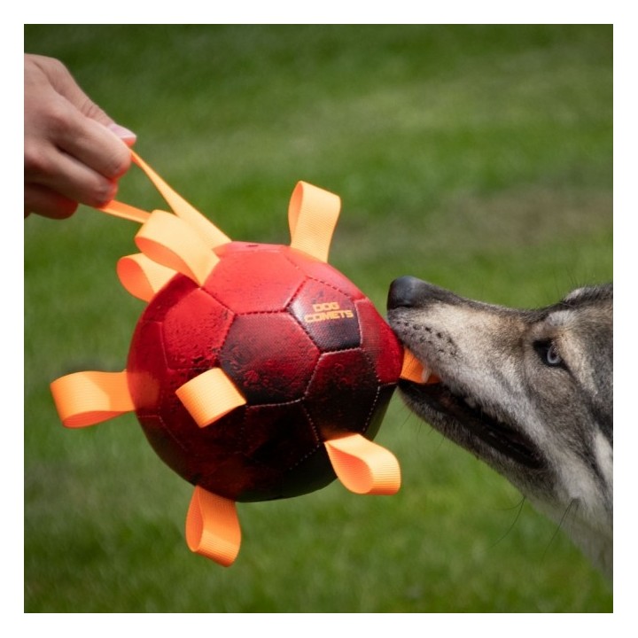 Dog Comets Ball Hypernova - Grün