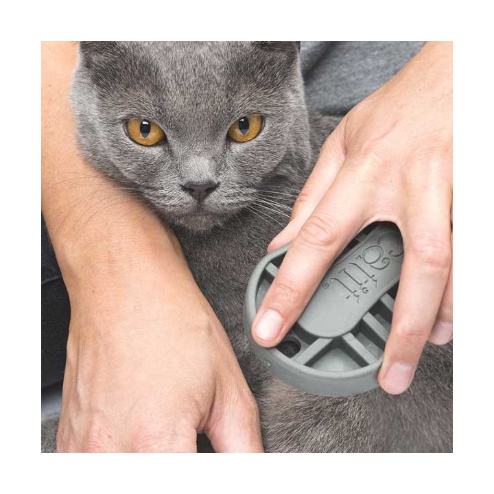 Catit Bürsten-Set für Kurzhaarkatzen