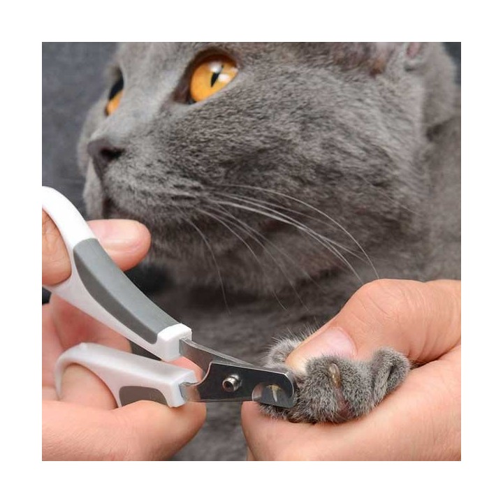 Catit Bürsten-Set für Kurzhaarkatzen
