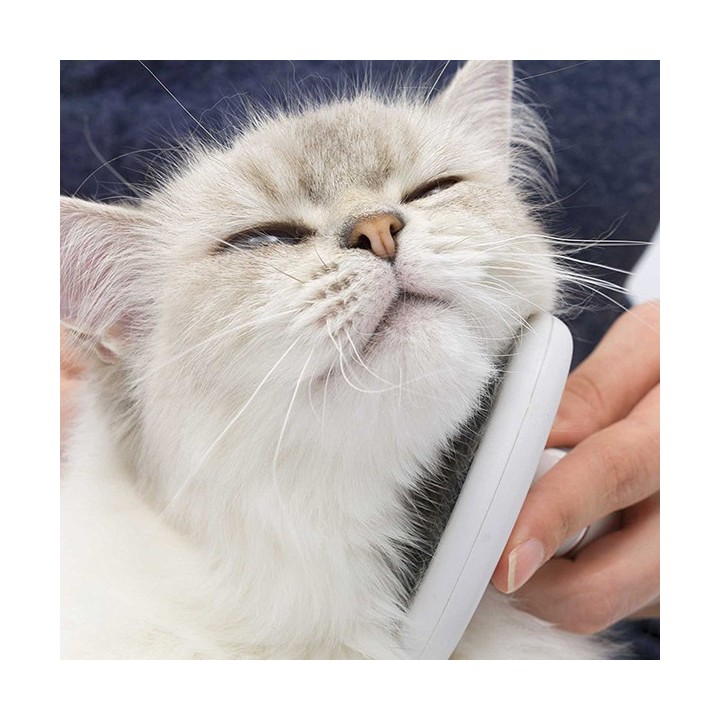 Catit Bürsten-Set für Mittel- und Langhaarkatzen