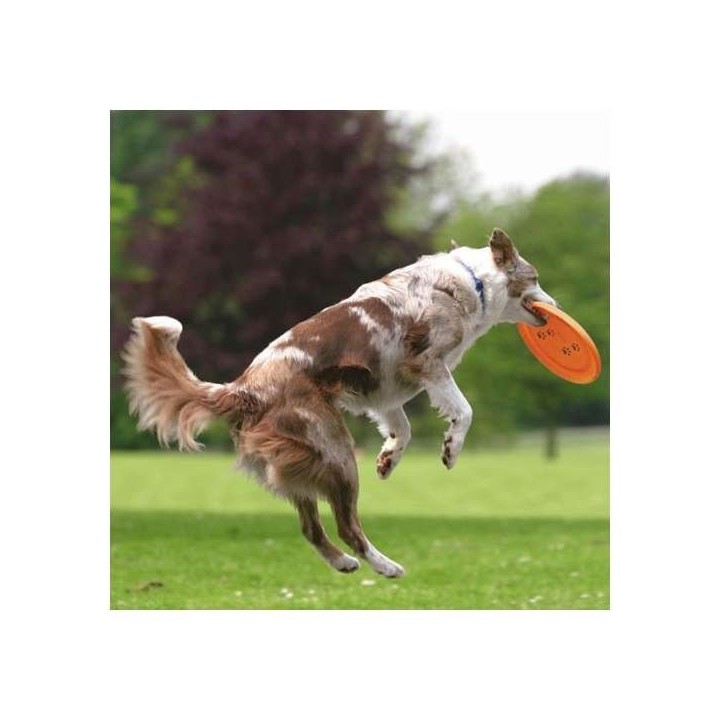 Trixie Dog Disc Frisbee bissfest - 23 cm