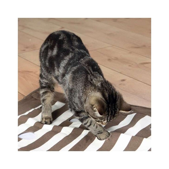 Trixie Cat Activity Pföteldecke - 70 x 50 cm