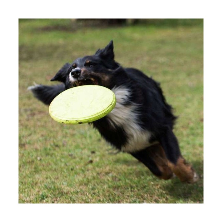 PROCYON TPR Frisbee