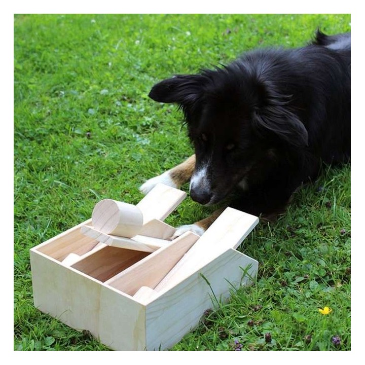 PROCYON Intelligenzspielzeug Hundeklavier