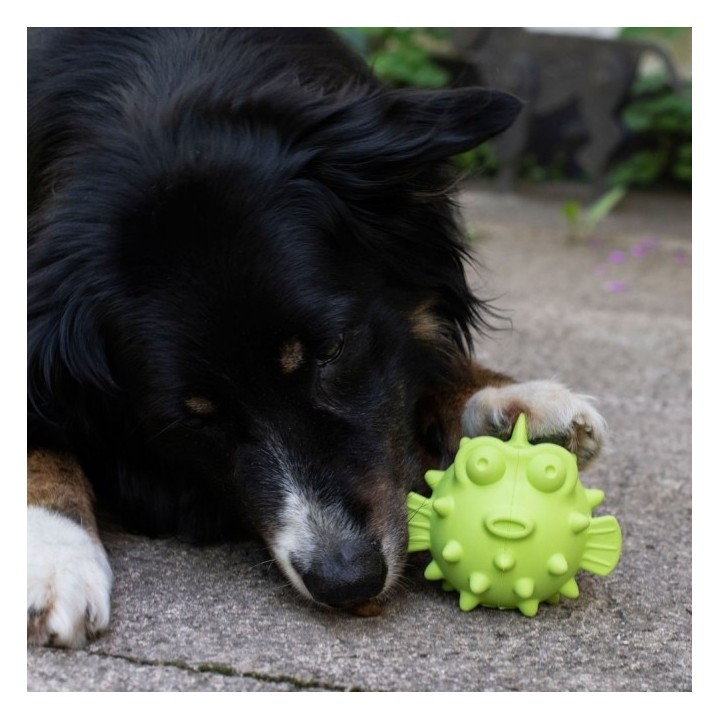 PROCYON TPR Snackball Fisch