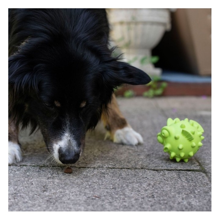PROCYON TPR Snackball Fisch