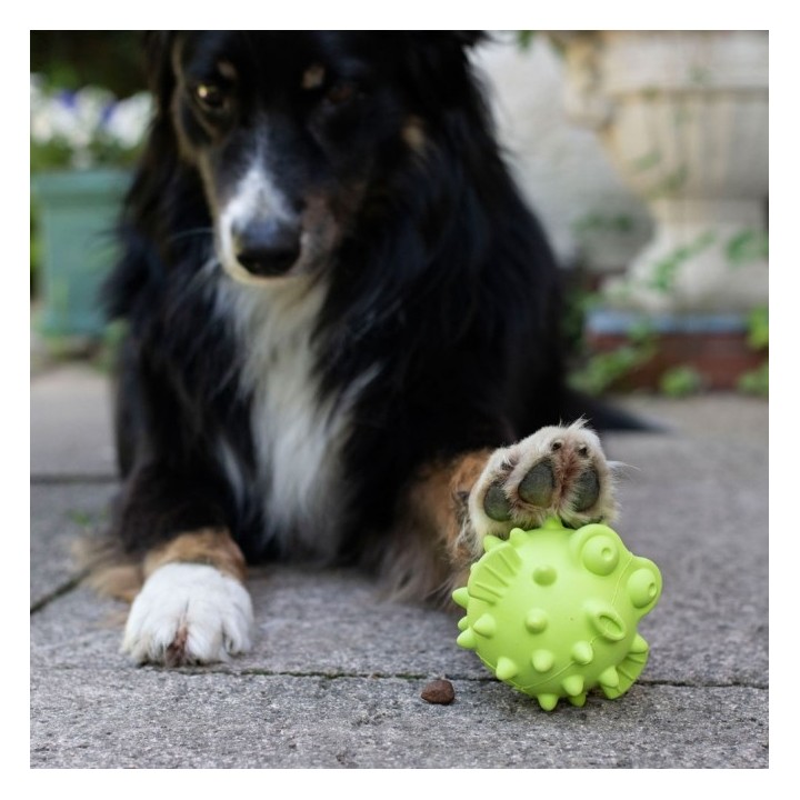 PROCYON TPR Snackball Fisch