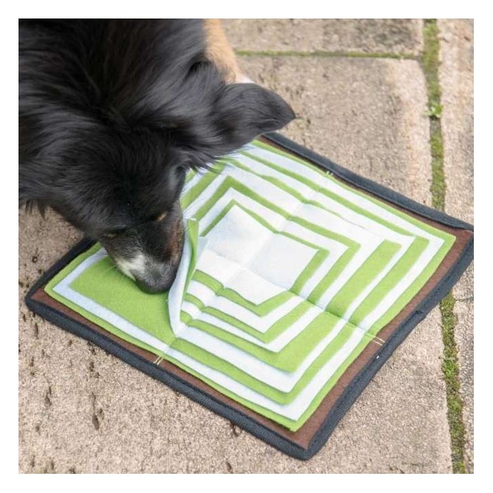 PROCYON Schnüffelpyramide