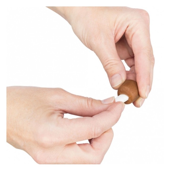 Trixie Snack Tabletten-Versteck - 100g