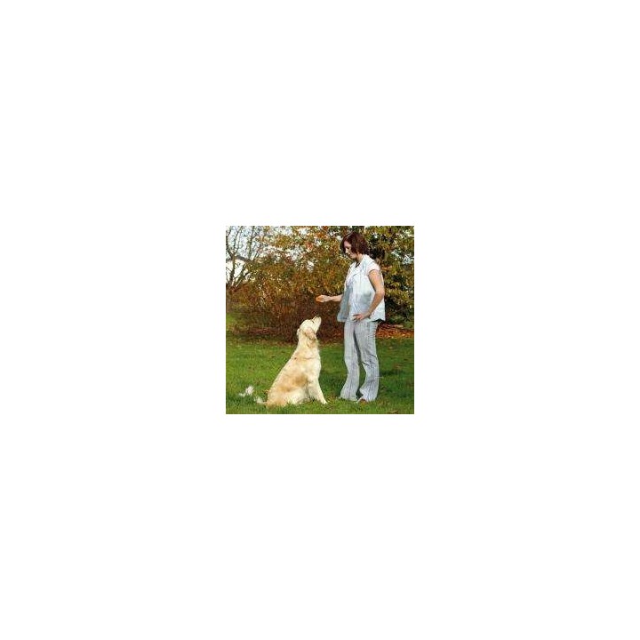 Karlie Doppelclicker