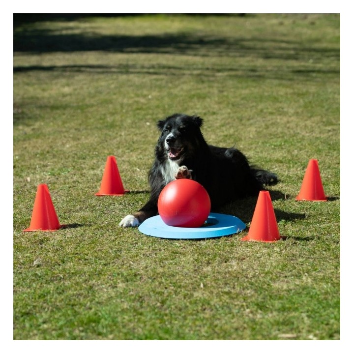 PROCYON Dog Golf Set