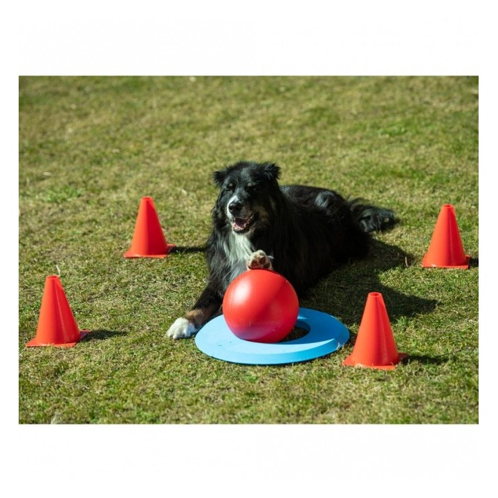 PROCYON Dog Golf Set