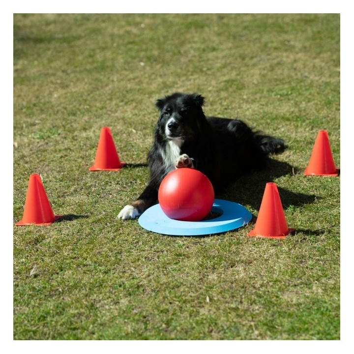 PROCYON Dog Golf Set
