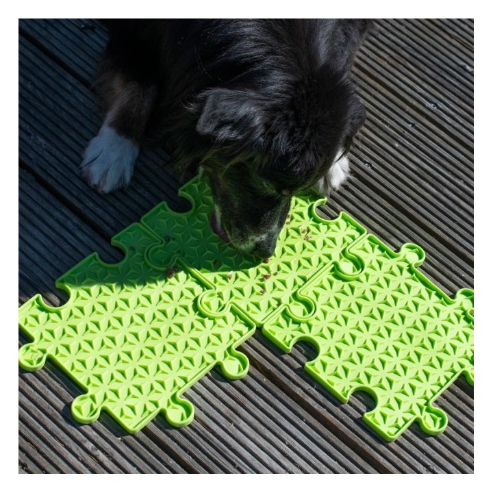 PROCYON Ladi Mat Schleckplatte Puzzle